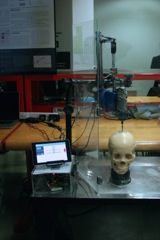 HAPTIC NEUROLOGICAL TRAINING SYSTEM