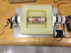 TISSUE ENGINEERED TRACHEA CULTURING DEVICE 