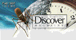 Discovery Channel School