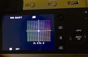 WB Shift Color Grid X100F